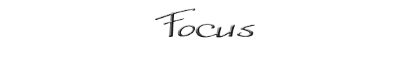 Focus