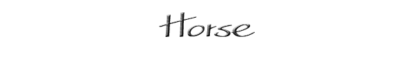 Horse